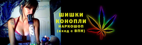 соль ск Новозыбков
