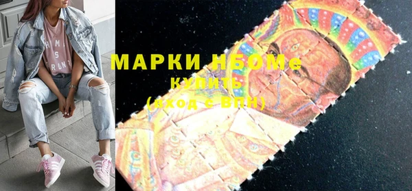 соль ск Новозыбков
