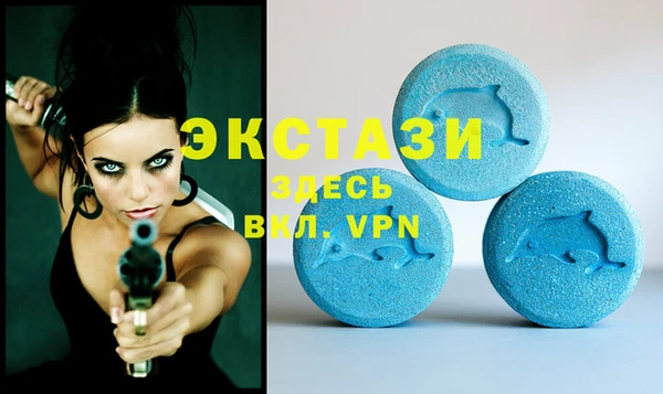 соль ск Новозыбков