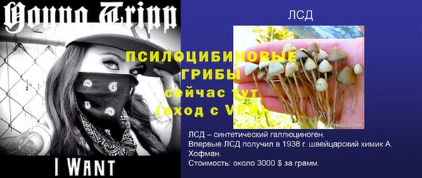 альфа пвп Нязепетровск