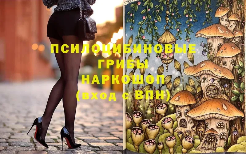 blacksprut рабочий сайт  Байкальск  Псилоцибиновые грибы Psilocybe 