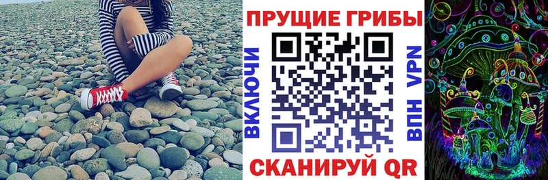 блэк спрут зеркало  это как зайти  Псилоцибиновые грибы MAGIC MUSHROOMS  Байкальск 